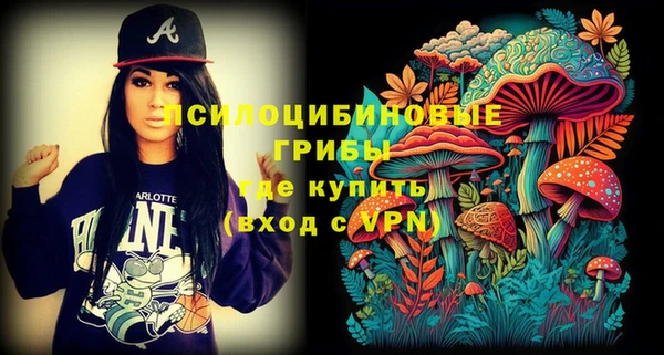 стаф Инсар