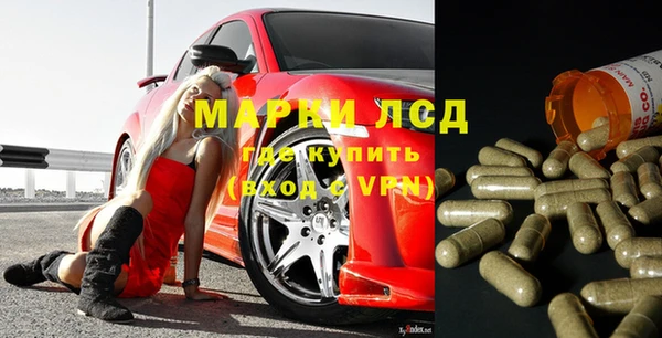 стаф Инсар