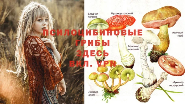 стафф Каменка