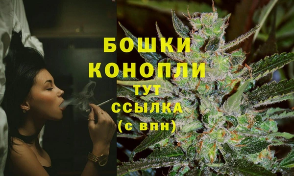 ПСИЛОЦИБИНОВЫЕ ГРИБЫ Зеленодольск