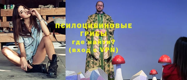 стафф Каменка