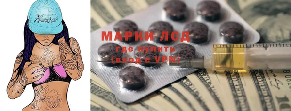 стаф Инсар