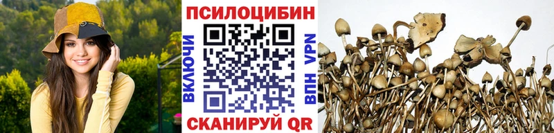 Псилоцибиновые грибы Magic Shrooms  Карталы 